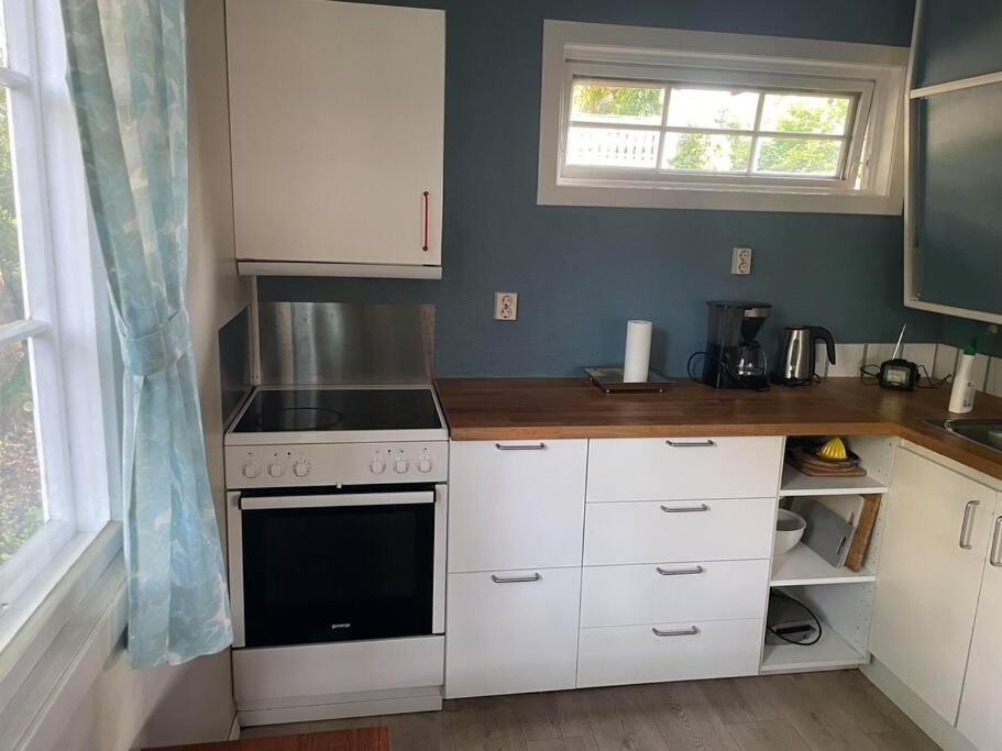 Koselig Anneks I Heggedal! Villa Asker Bagian luar foto