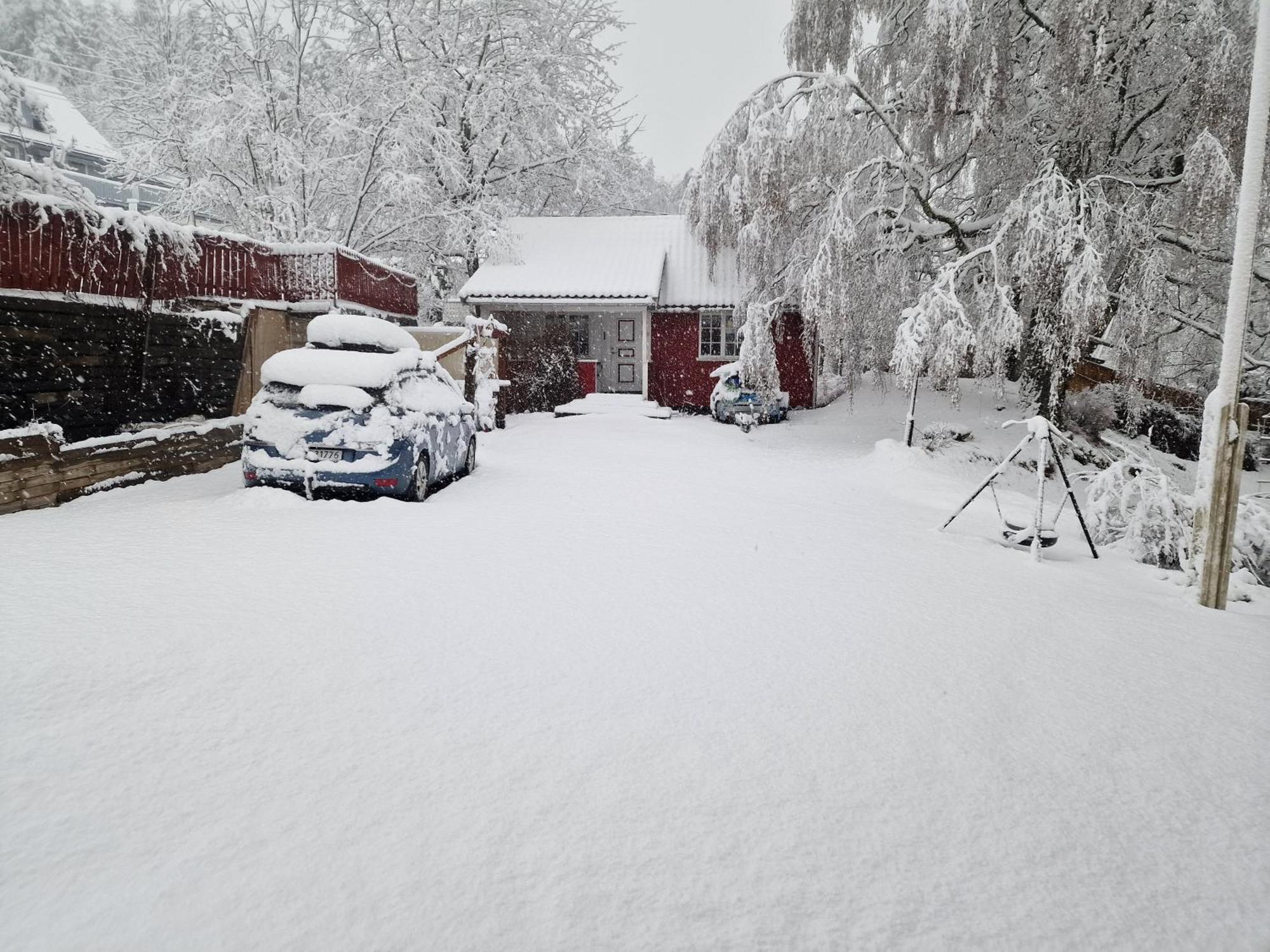 Koselig Anneks I Heggedal! Villa Asker Bagian luar foto